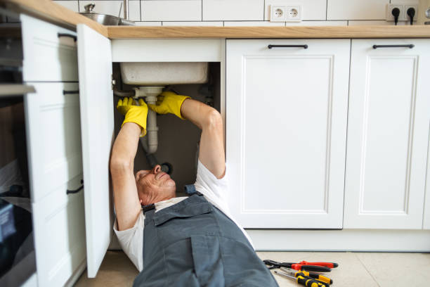 Best Leak Detection Services  in Johnson, AR